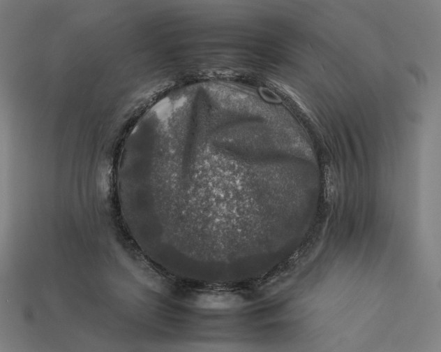 X0000113370451200910061104