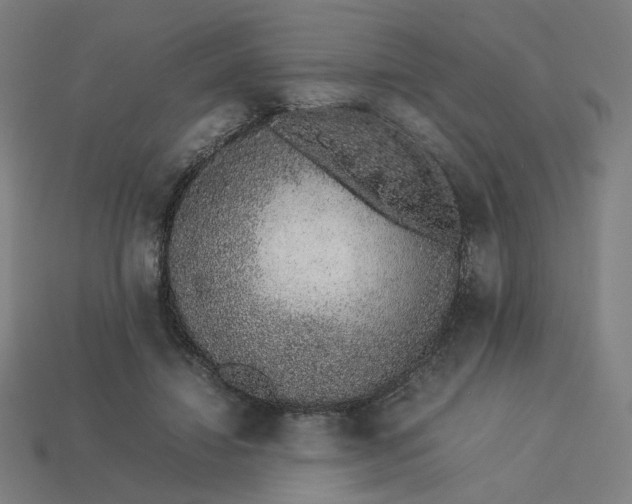 X0000113370452200910061104