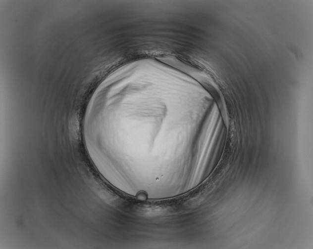 X0000113370453200910061104