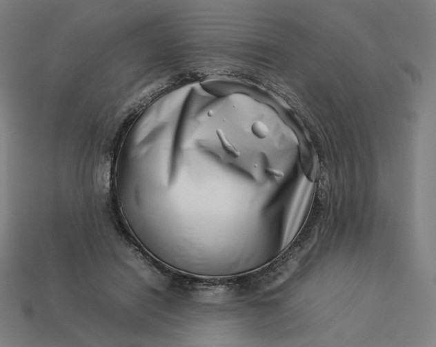 X0000113370454200910061104