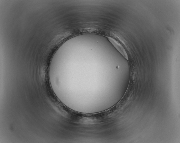 X0000113370455200910061104