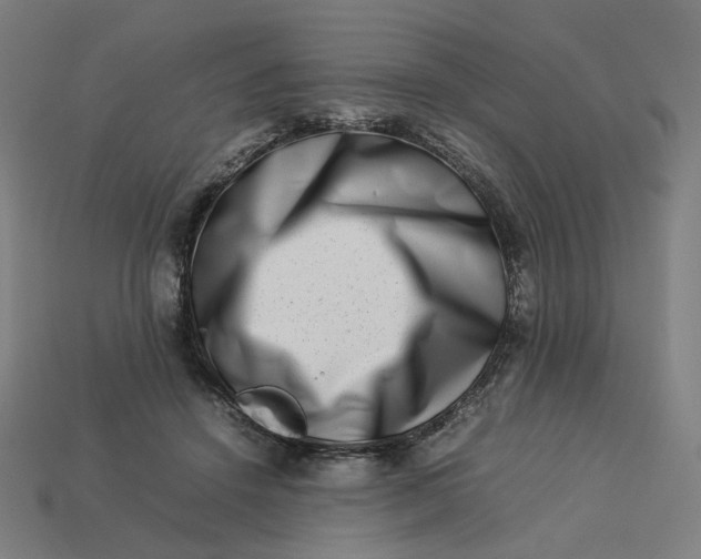 X0000113370456200910061104