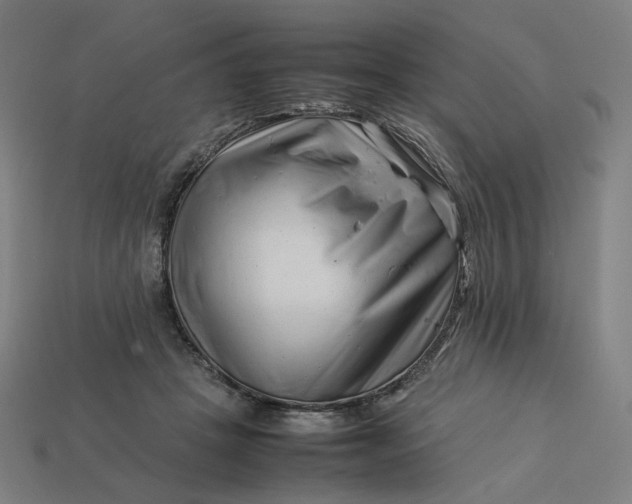 X0000113370457200910061104