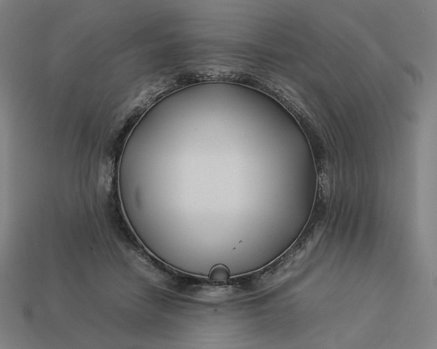 X0000113370458200910061104