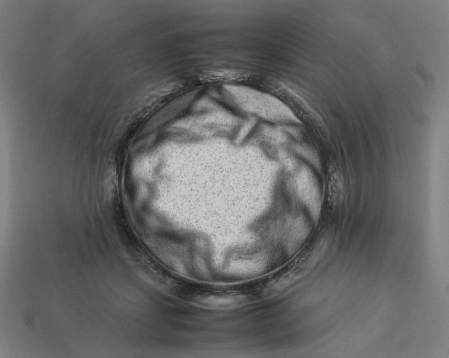 X0000113370459200910061104