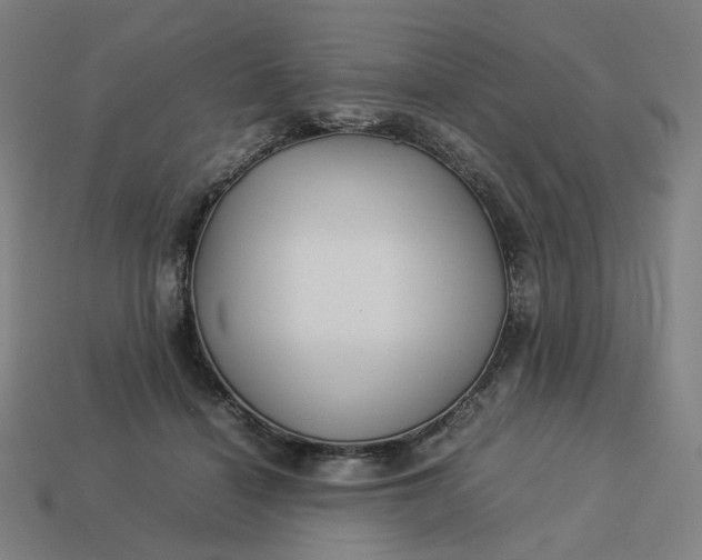 X0000113370460200910061104