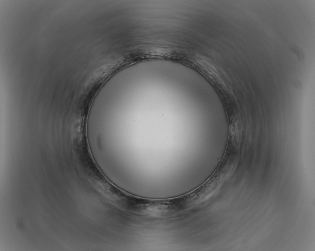 X0000113370462200910061104