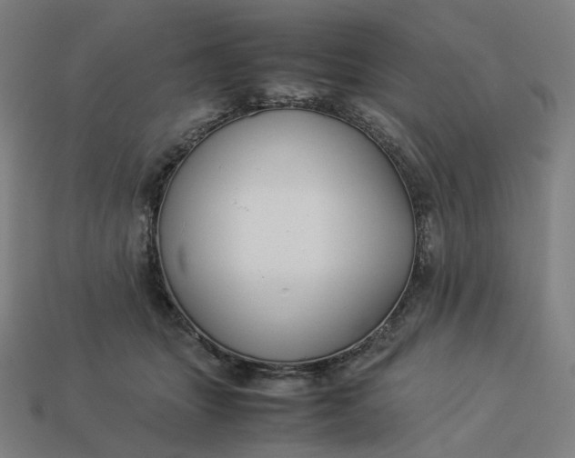 X0000113370463200910061104