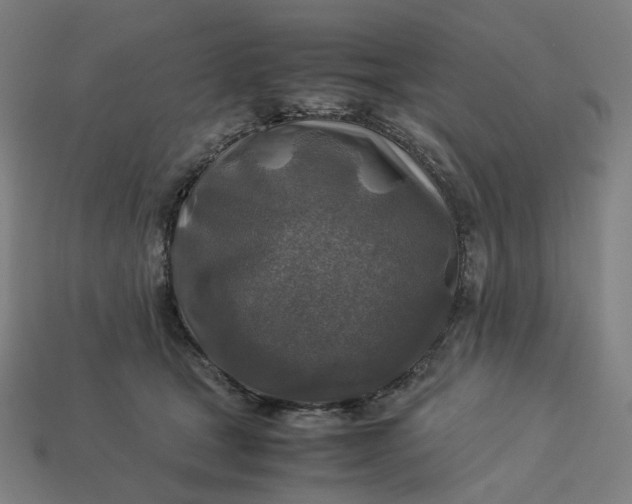 X0000113370465200910061104