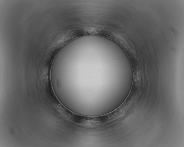 X0000113370466200910061104