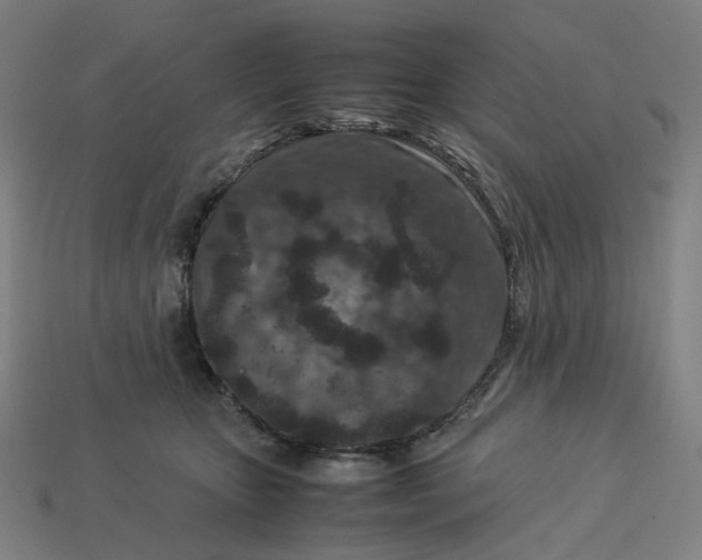 X0000113370467200910061104