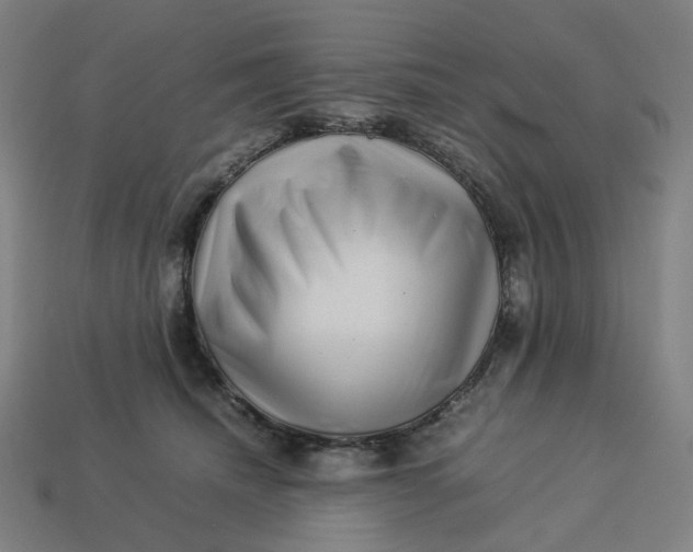 X0000113370468200910061104