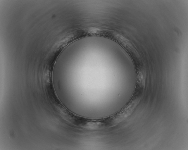 X0000113370470200910061104