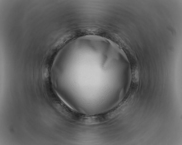 X0000113370472200910061104