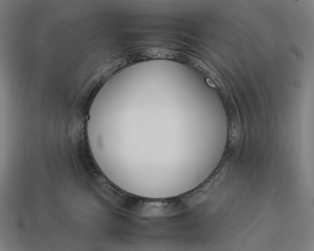 X0000113370473200910061104