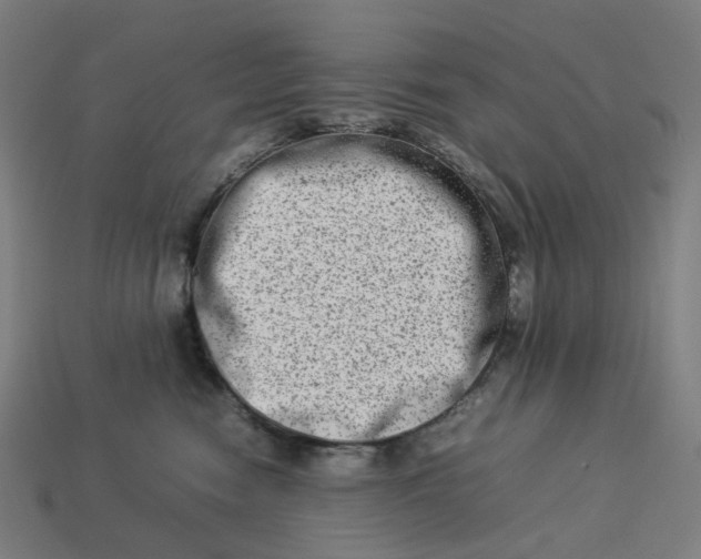 X0000113370474200910061104