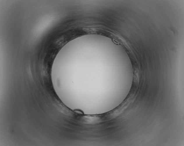 X0000113370477200910061104