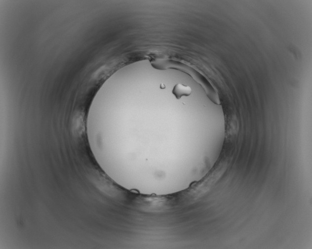 X0000113370478200910061104