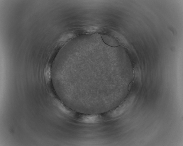 X0000113370479200910061104