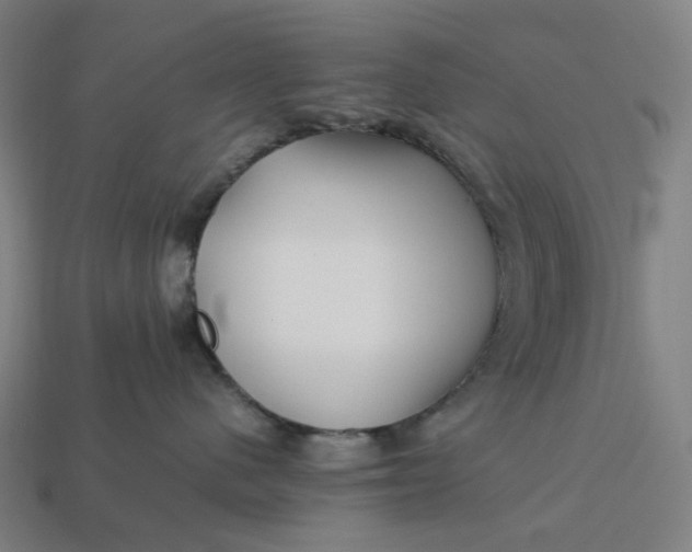 X0000113370480200910061104