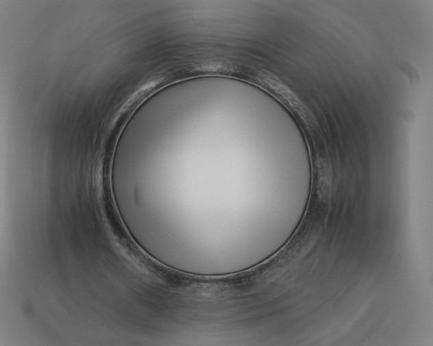 X0000113370482200910061103