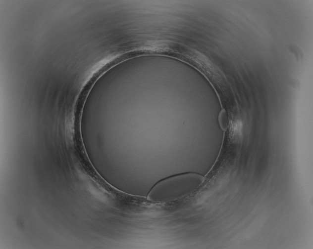 X0000113370484200910061103