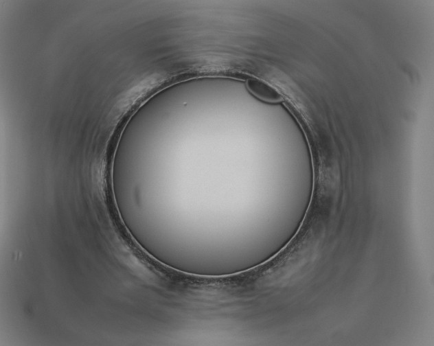 X0000113370485200910061103