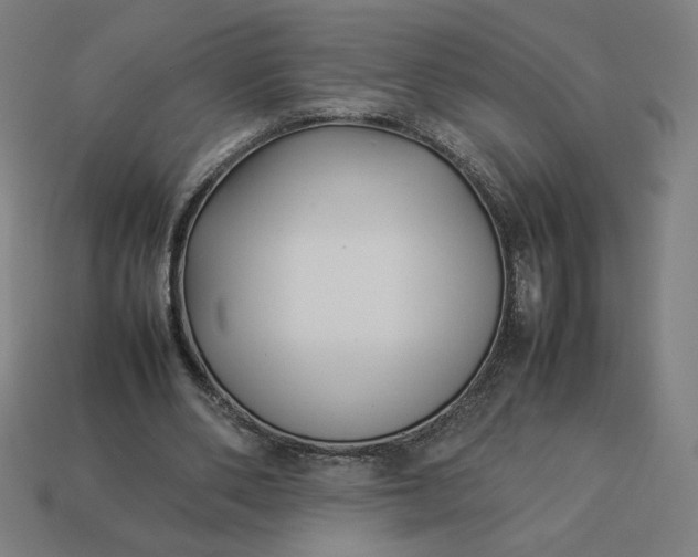 X0000113370486200910061103