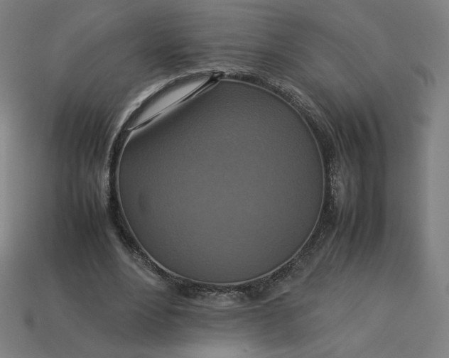 X0000113370488200910061103