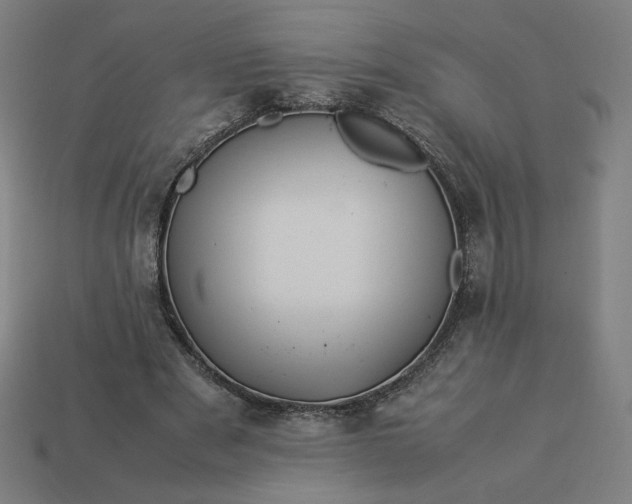 X0000113370489200910061103