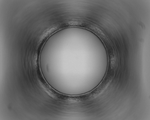 X0000113370490200910061103