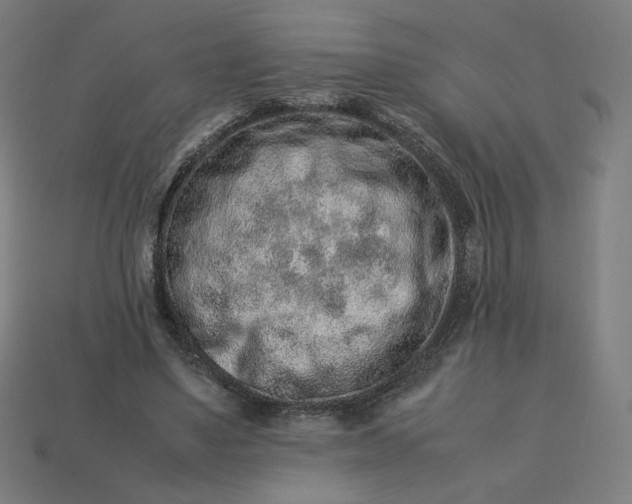 X0000113370491200910061103