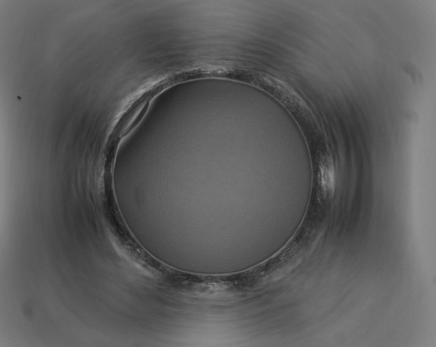 X0000113370492200910061103