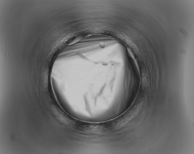 X0000113370493200910061103