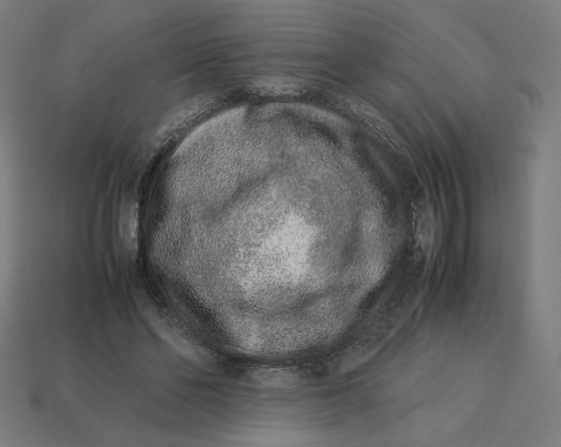 X0000113370494200910061103