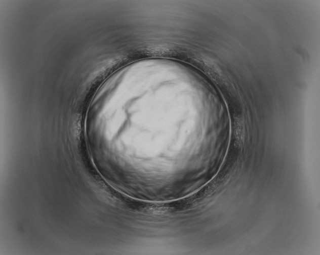 X0000113370495200910061103