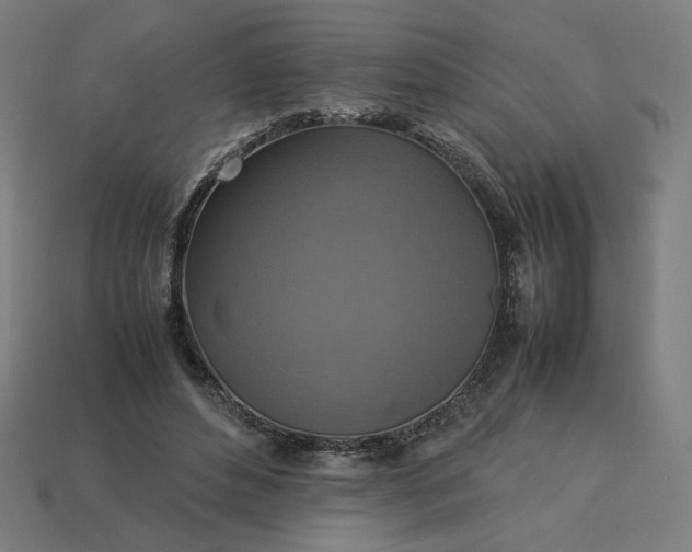 X0000113370496200910061103