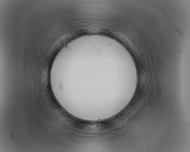 X0000113370497200910061103