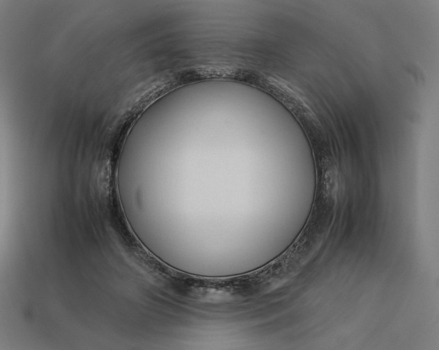 X0000113370498200910061103