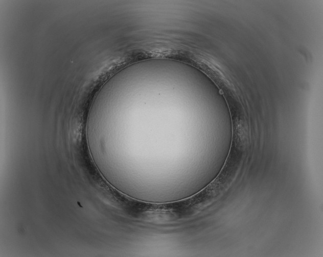 X0000113370499200910061103