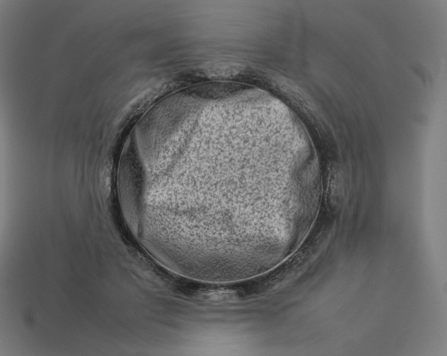 X0000113370501200910061103