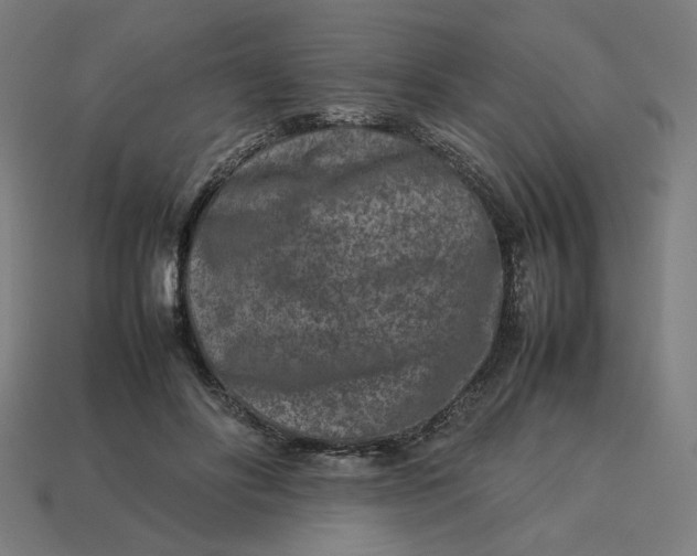 X0000113370502200910061103