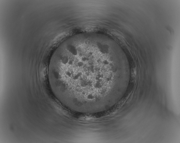 X0000113370503200910061103