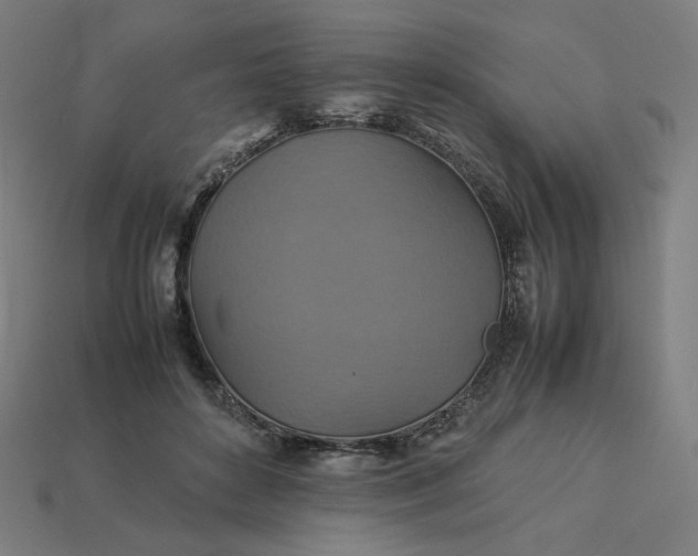 X0000113370504200910061103