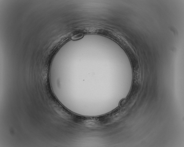 X0000113370505200910061103