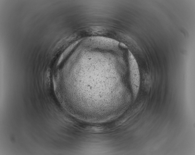 X0000113370506200910061103