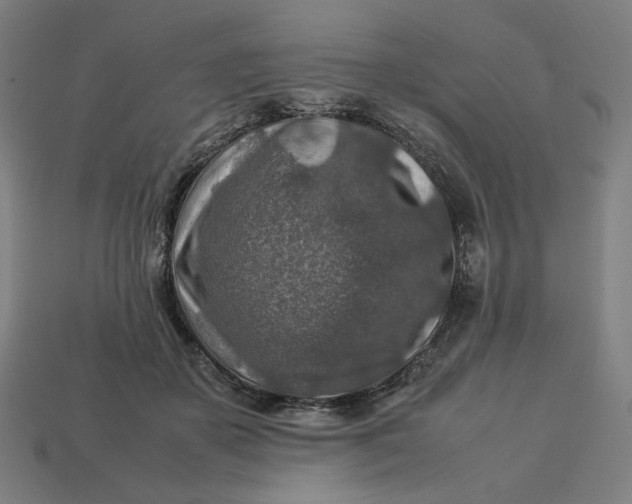 X0000113370507200910061103