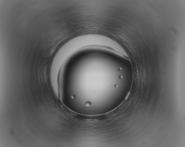 X0000113370508200910061103