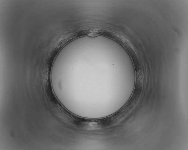 X0000113370509200910061103