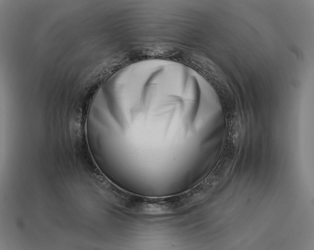 X0000113370510200910061103